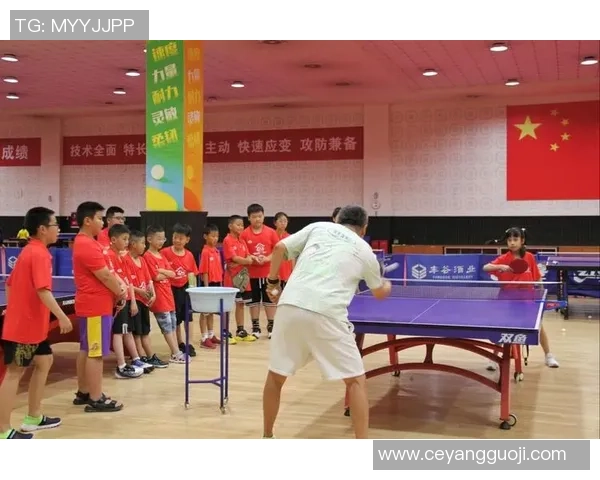 杭州乒乓球队耐力训练的秘密与挑战探索